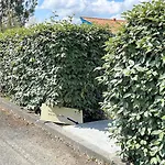Jolie Maison De Avec Terrasse Et Jardin 생-줄리앙-앙-보른