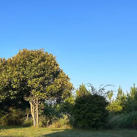 Apartment Jolie Maison De Avec Terrasse Et Jardin