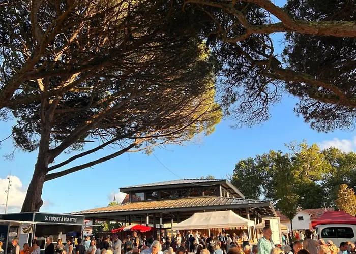 Jolie Maison De Avec Terrasse Et Jardin 公寓